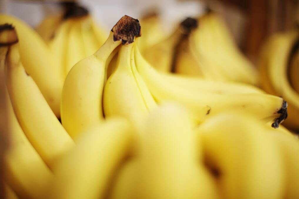 An isolated incident was reported with a metal object found in a banana. Photo: File/Andrew Quilty