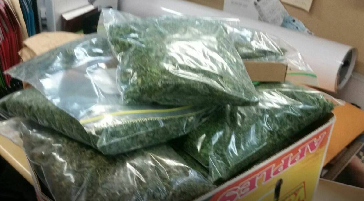 Queensland Police also seized more than five kilograms of cannabis on the Sunshine Coast as part of a separate operation. Photo: Queensland Police Media