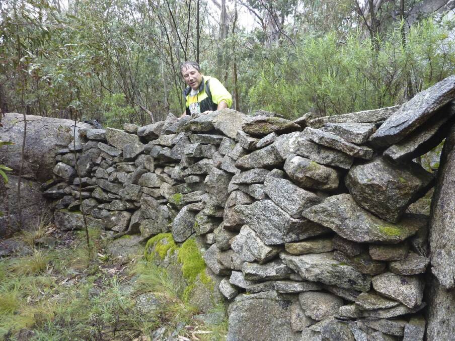 Phill Sledge, of Kaleen, inspects Namadgi's mystery stone wall. Photo: Tim the Yowie Man