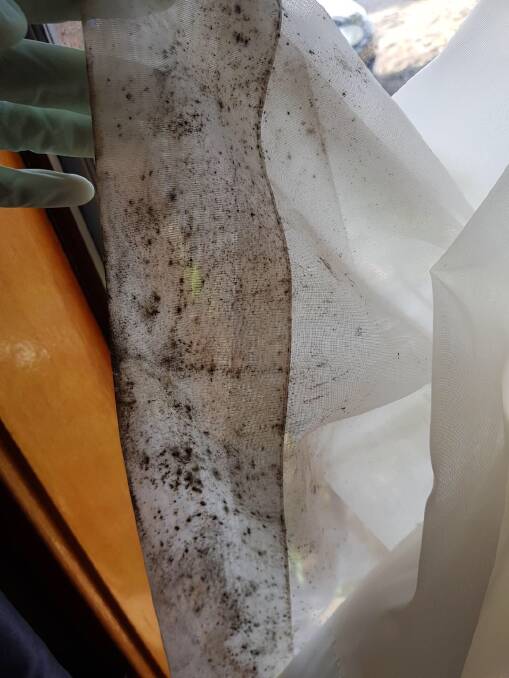 Ms Harrison says she's suffered pneumonia as a resulf of mould. Photo: Melissa Harrison