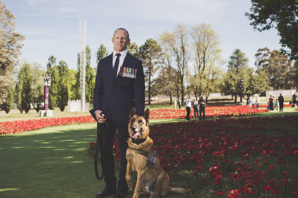 Corporal Mark Donaldson, VC, with retired Australian Army special operations military working dog Odin at an awards ceremony at the Australian War Memorial on Friday. Photo: Jamila Toderas