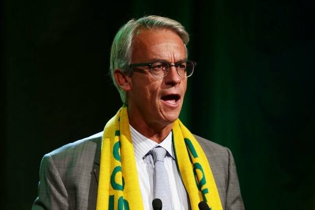 FFA CEO David Gallop.  (Photo by Matt King/Getty Images for Caltex) Photo: Getty Images