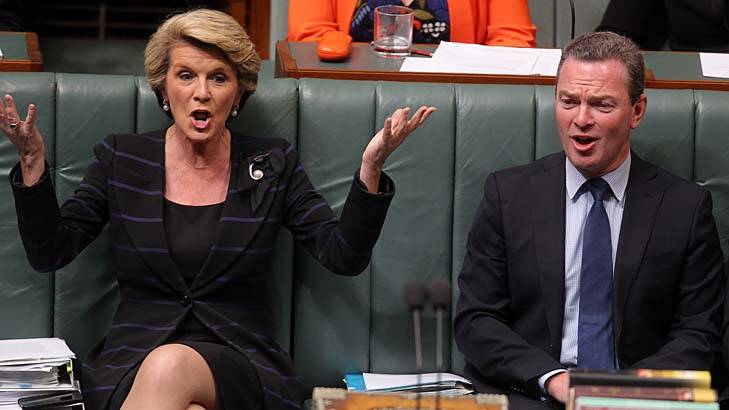 Julie Bishop and Christopher Pyne have been cleared of breaching ministerial standards. File picture