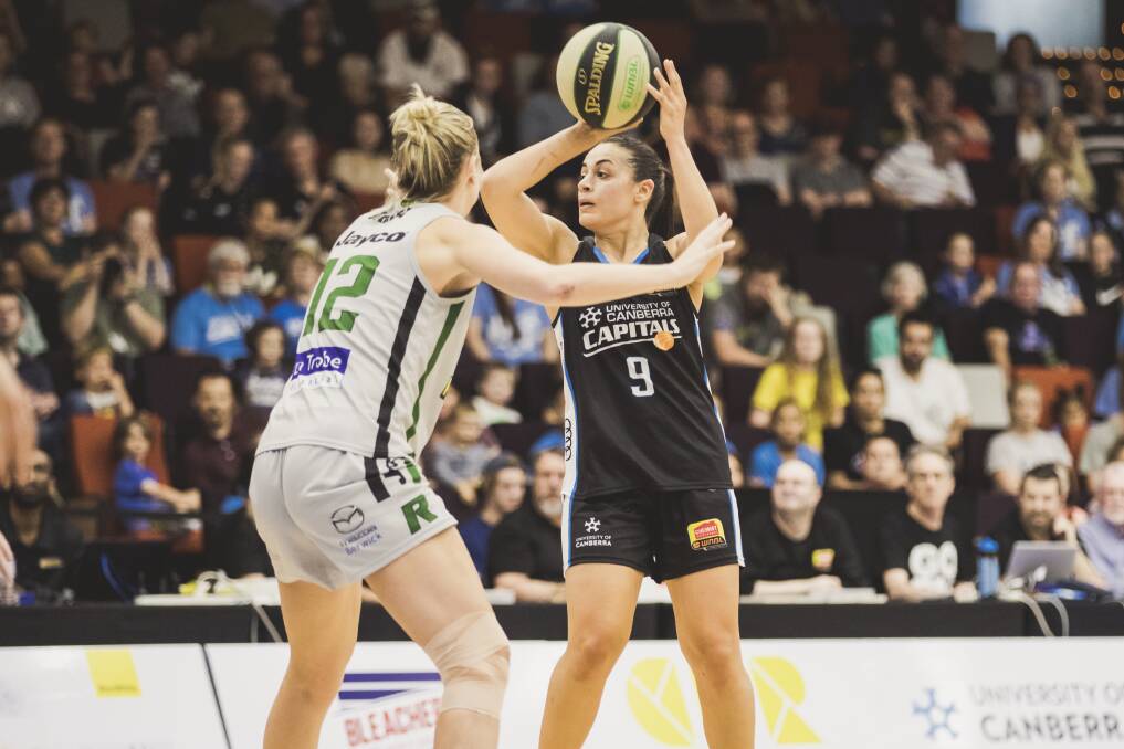 Maddison Rocci is returning for a third season in Canberra. Photo: Jamila Toderas