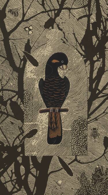 Family: Psittaciade (parrots), 2017, by Jenny Kitchener. Print (linocut and collage on paper), detail. Photo: Supplied
