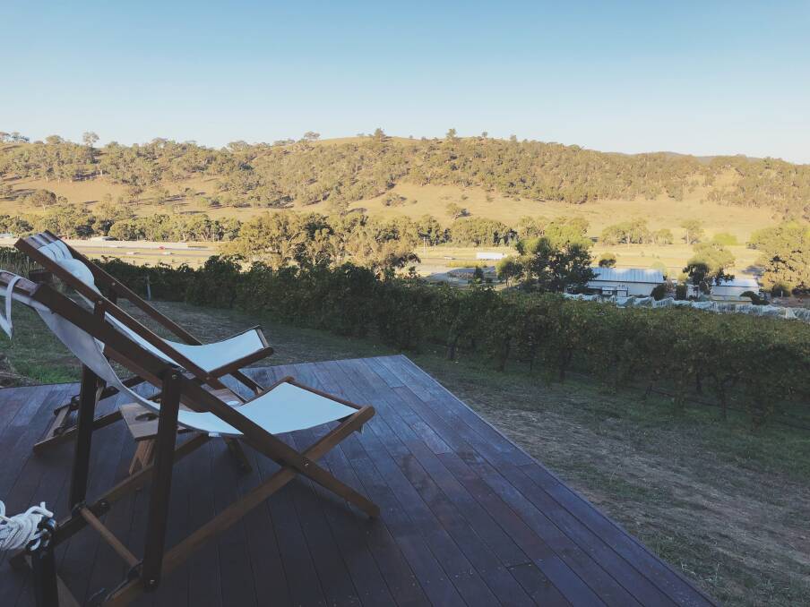 The view over the vines and down the valley. Photo: Jil Hogan