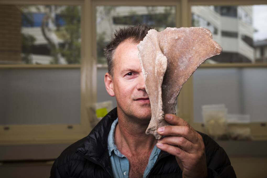 Associate professor at ANU Geoff Clark was part of the team that analysed bones from Madagascar.  Photo: Dion Georgopoulos