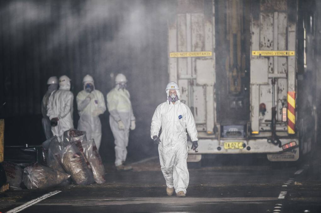 Asbestos being removed last week from the Parkes Way Tunnel.  Photo: Rohan Thomson