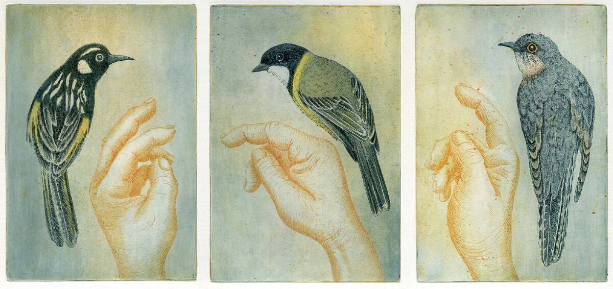 Kati Thamo - <i>Sign language with birds</i>, etching with watercolour, varied edition of 12 in <i>Another language</i> at Beaver Galleries.  Photo: Supplied
