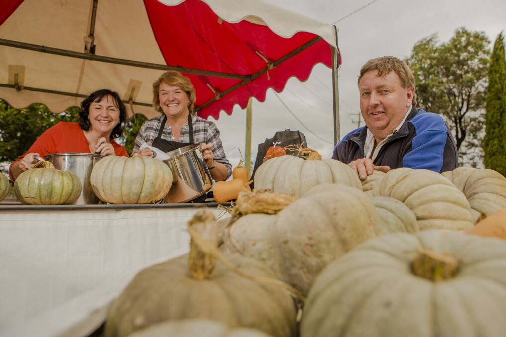 The Collector Pumpkin Festival is on again this Sunday. Photo: Jamila Toderas