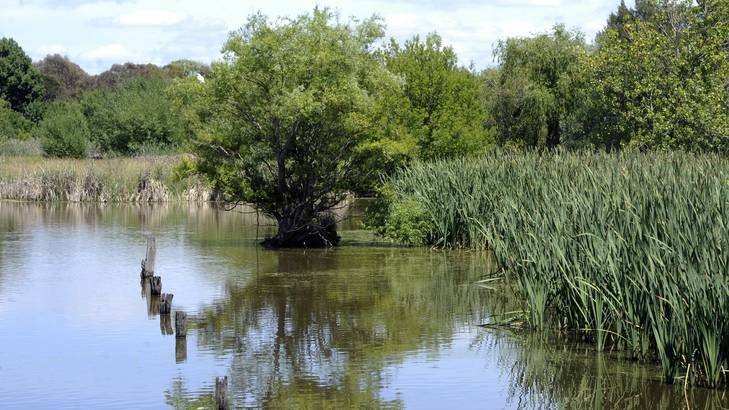 Public comment on the Jerrabomberra Wetlands draft master plan closes today. Photo: Lannon Harley