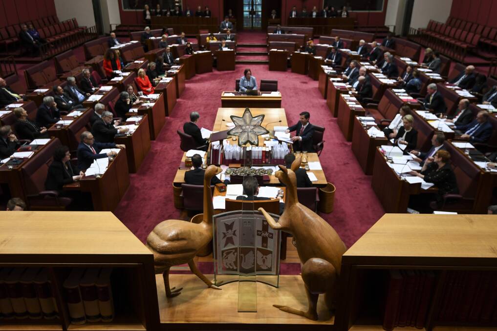 The emu and the kangaroo of the Australian coat of arms look down on the Senate chamber during Question Time. Photo: AAP