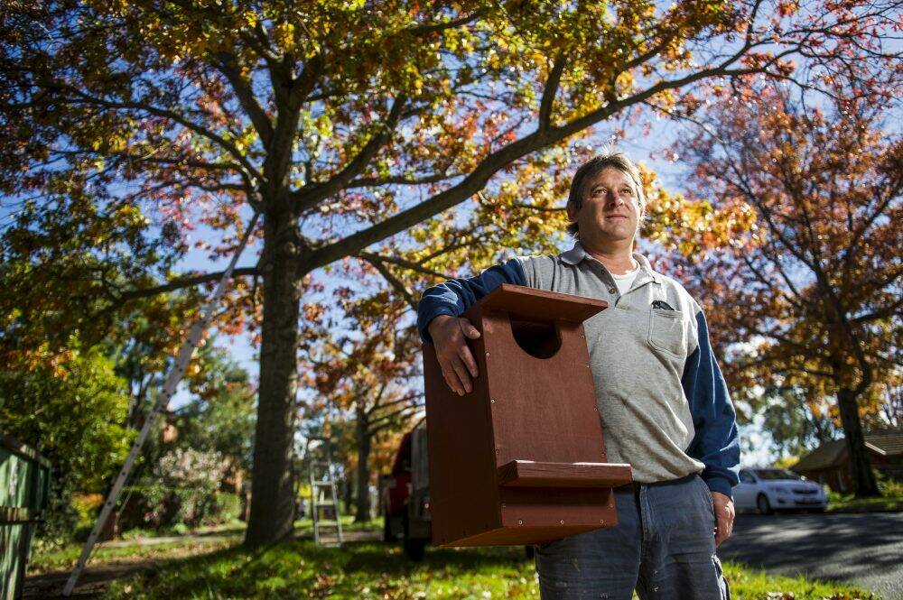 Neil Harvey with one of his possum boxes outside a home in Griffith. Photo: Rohan Thomson