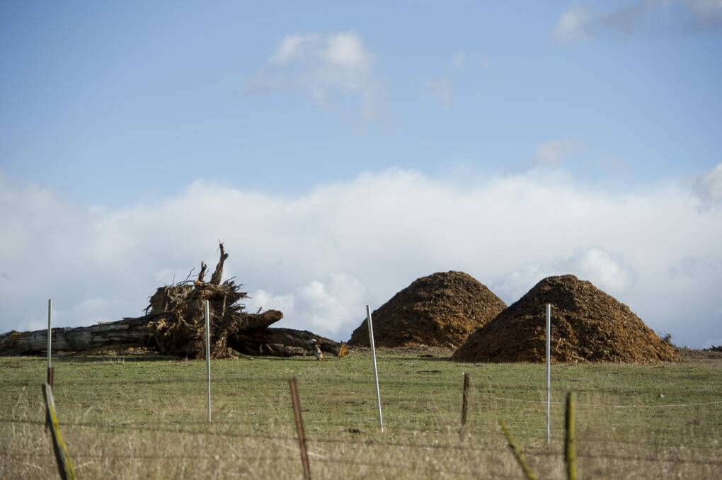 Woodchips on the site of the new solar farm on the Monaro Highway at Williamsdale on Friday. Photo: Jay Cronan
