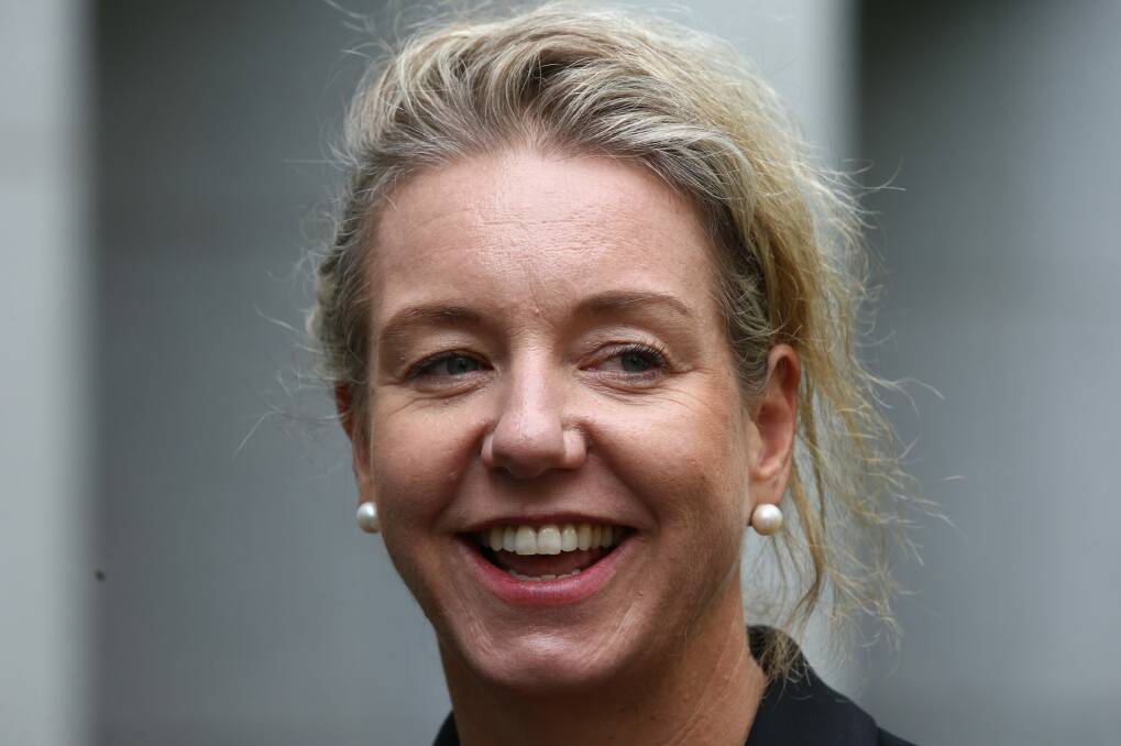 Nationals deputy leader Bridget McKenzie. Photo: Andrew Meares