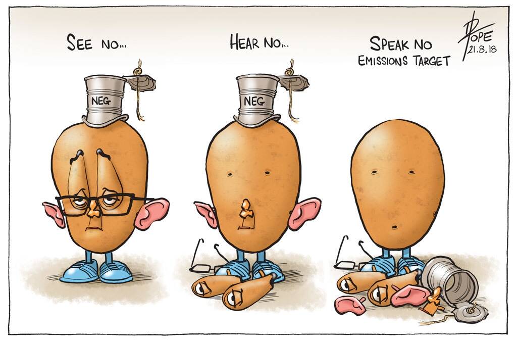 The Canberra Times editorial cartoon, Tuesday, August 21, 2018. Photo: David Pope