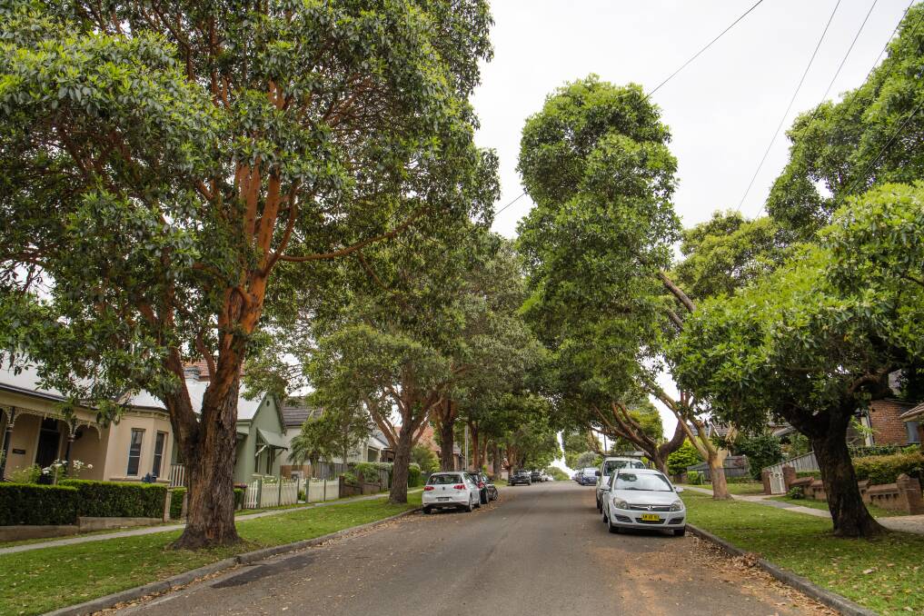 Carrington Street sits about 40 metres above the WestConnex tunnels. Photo:  Louise kennerley 