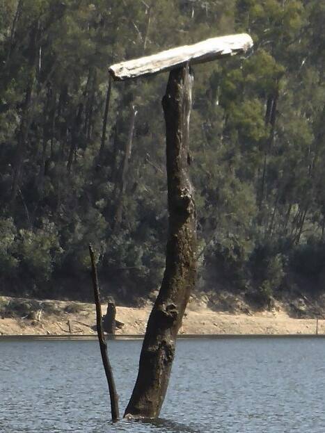 A precariously placed log at a dam in the Snowy Mountains is proving to be a mystery. Photo: Jim Holmes