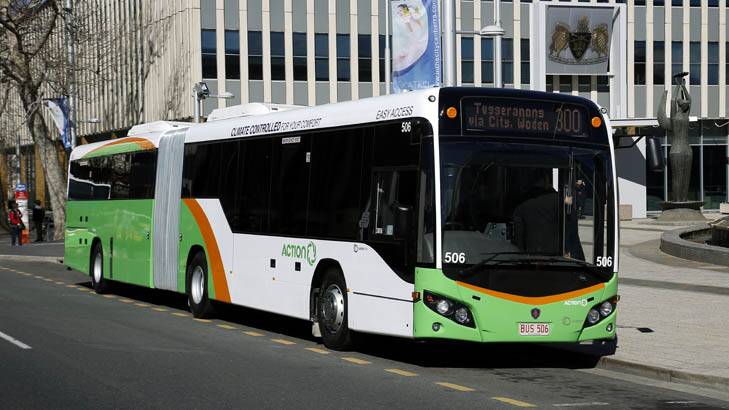 Long drive ... one of 20 new articulated buses for the ACT. Photo: Jeffrey Chan