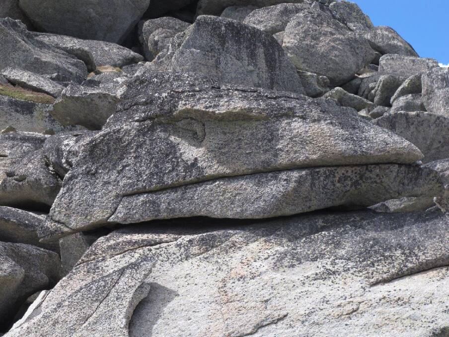 Rock resembling a lizard at the North Ramshead Range. Photo: Martin Kenseley
