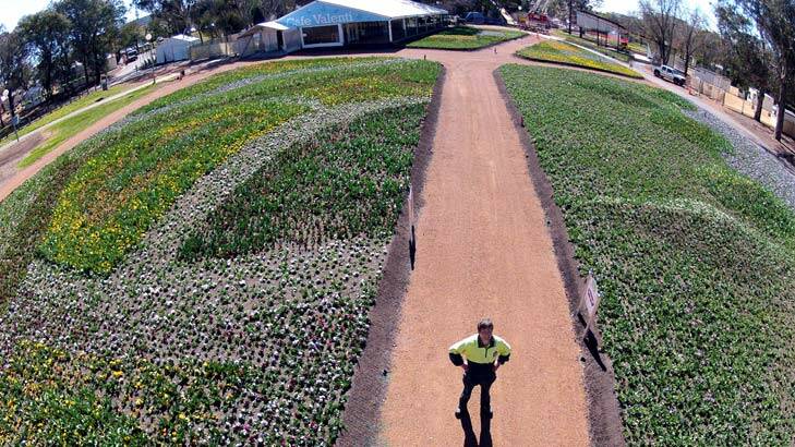 View from above ... Floriade waiting to bloom, as seen from photographer Jay Cronan's quadcopter. Photo: Jay Cronan