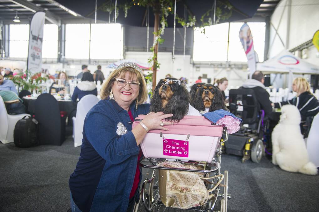 Nicole Celeban came all the way from Penrith with her four dogs for the event. Photo: Dion Georgopoulos