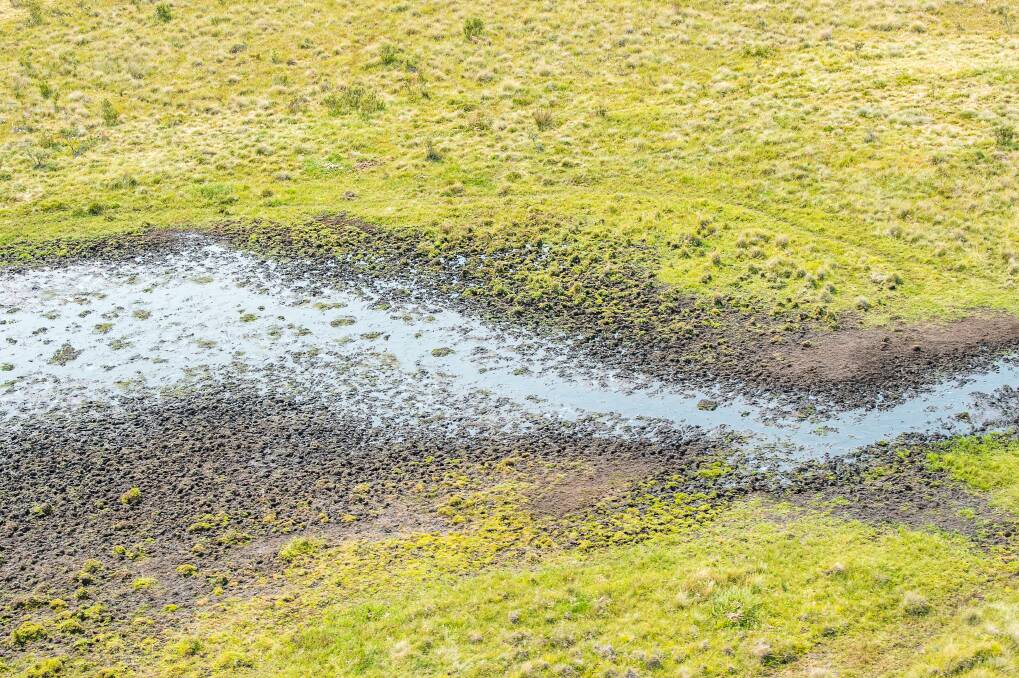 Damage caused by feral horses to the headwaters of the Murrumbidgee River in the Kosciuszko National Park. Photo: Justin McManus