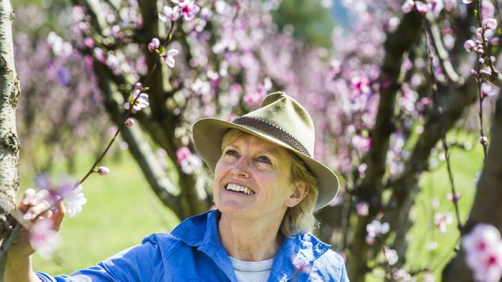 Robyn Clubb in her Orchard, Wisbeys, at Araluen where she is preparing to open a cafe. Photo: Rohan Thomson