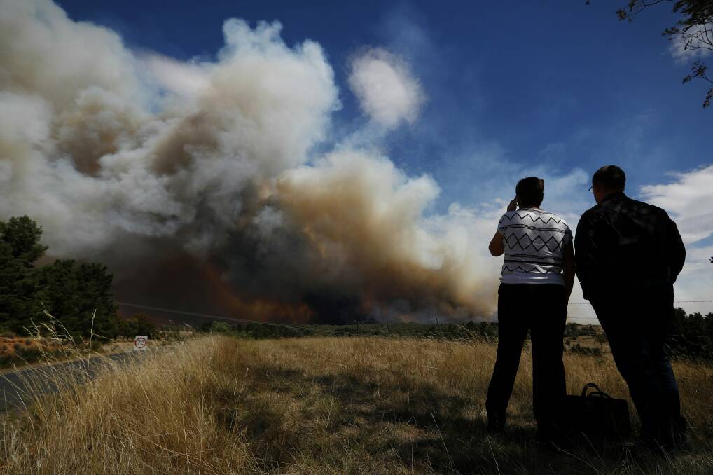 Pip Wyrdeman observes the fire where her dad's home is, during a fire at Carwoola, southeast of Canberra. Photo: Alex Ellinghausen