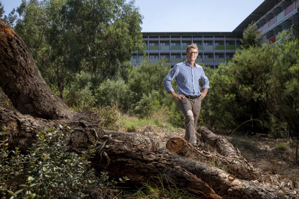 Associate Professor Philip Gibbons in a native oasis at the Australian National University. Photo: Sitthixay Ditthavong
