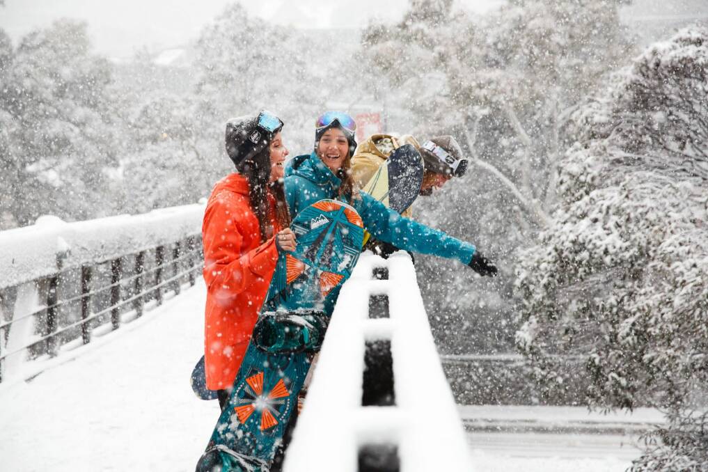 Over 40cms of fresh snow has fallen up top of Shannon Reynolds, Maddie Day and Tully examine the snow at Thredbo Photo: Thredbo Media
