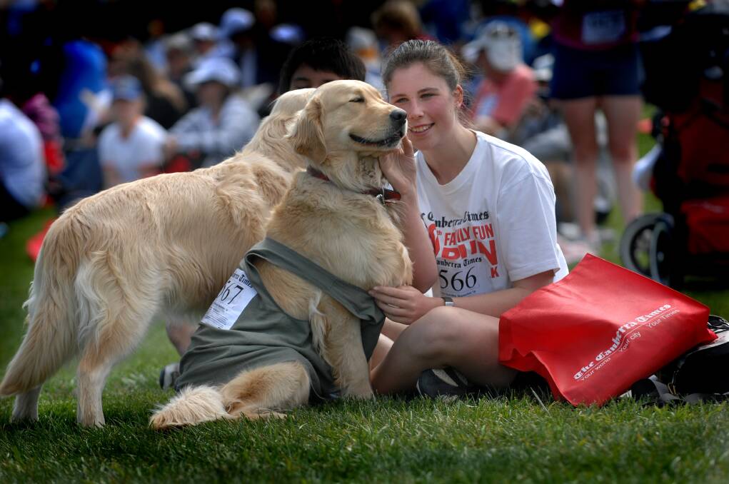 All dogs must be registered to participate in the special 5km Paw Parade added to The Canberra Times Fun Run. Photo: Karleen Minney