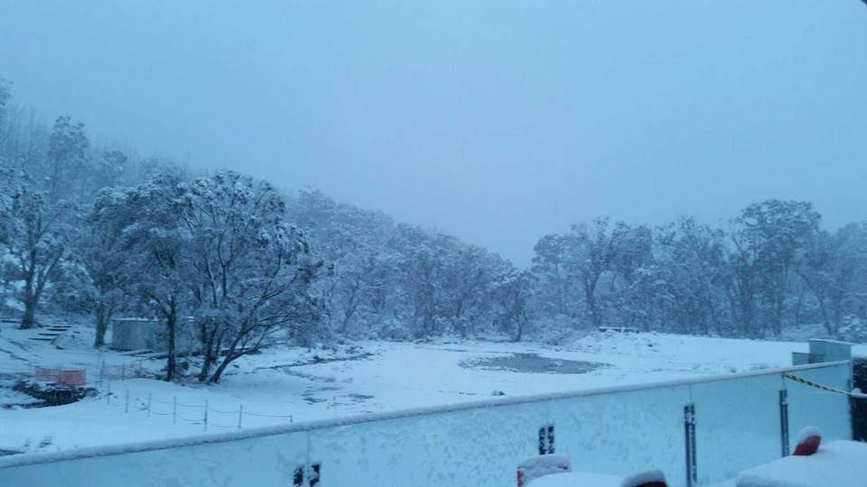Corin Forest saw spring snow falls of up to 10 centimetres overnight. Photo: Corin Forest