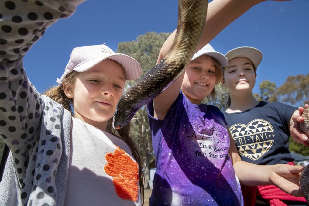 Xanthe Smith, 8, and Verity Smith, 10, from Waramanga, and Zahra Crouch, 10, from Banks get hands on with a black-headed python at the Tidbinbilla open day.  Photo: Sitthixay Ditthavong