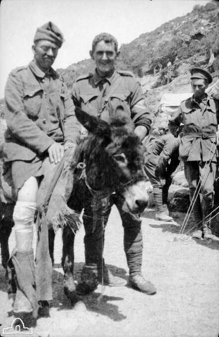 Private John Simpson Kirkpatrick (enlisted as Simpson), 3rd Field Ambulance Brigade, with his donkey squad, helps a wounded soldier. Photo: John Aloysius O'Brien/Australian War Memorial