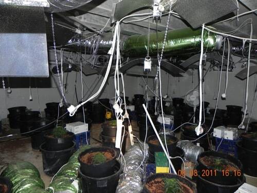 Police found an elaborate cannabis grow house in an underground chamber in the Macgregor house. Photo: ACT Policing