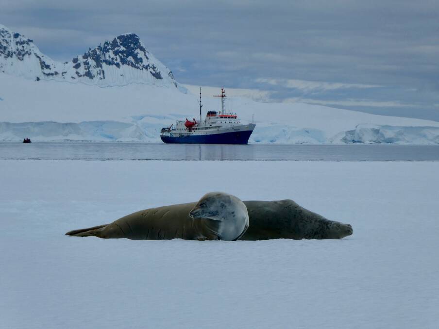 The Homeward Bound STEMM leadership project heads to Antarctica in 2019. Photo: Supplied