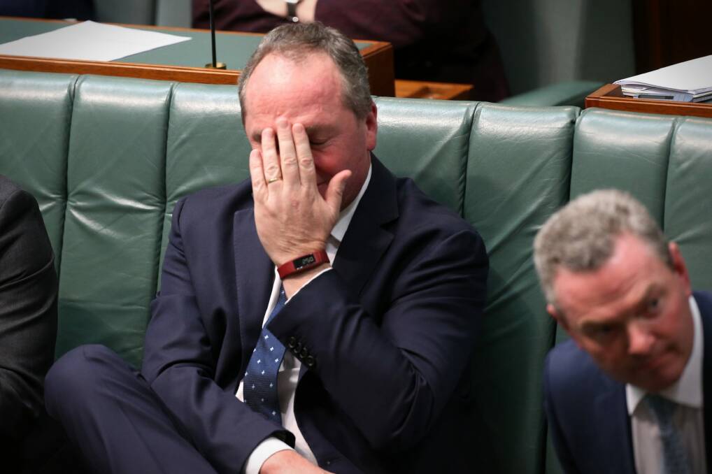 Deputy Prime Minister Barnaby Joyce during question time. Photo: Andrew Meares