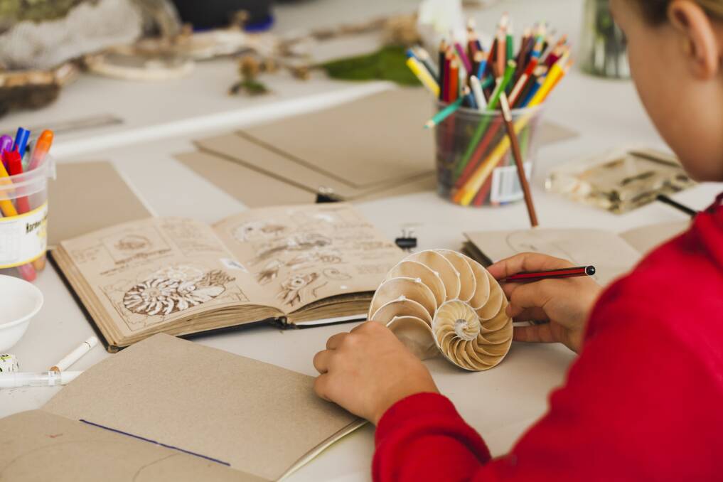 A participant sketches the inside of a nautilus shell. Photo: Supplied
