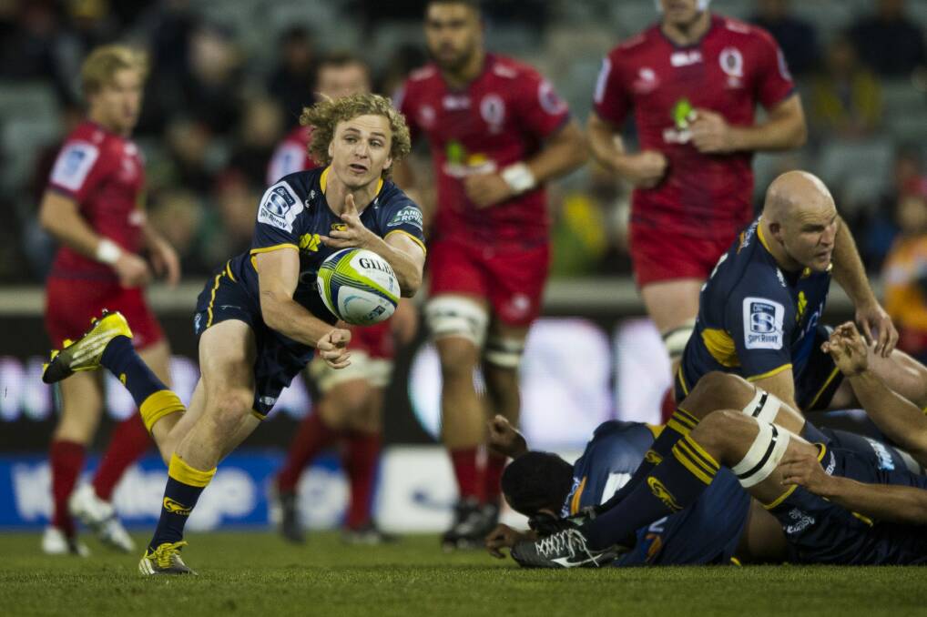Brumbies scrumhalf Joe Powell in action on Friday night, but there was no one in the crowd to watch. Photo: Jay Cronan