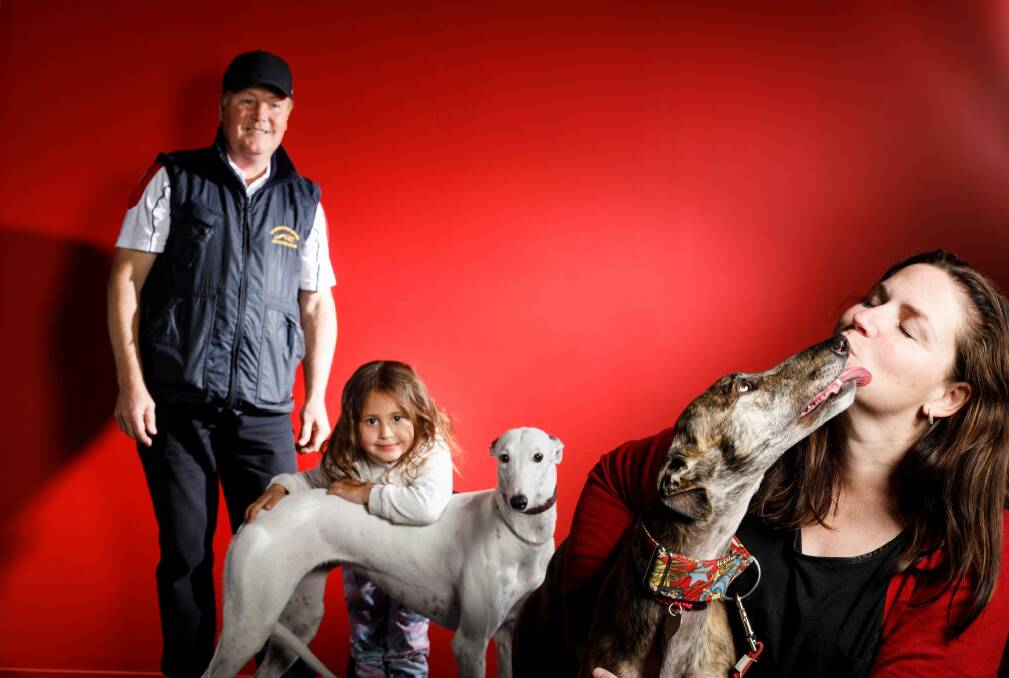 Canberra Greyhound Racing Club chairman Alan Tutt, three-year-old greyhound fan Kree Gibbs, with retired greyhound Porsha, and Martina Taliano, co-ordinator of Canberra Region Greyhound Connections Group with retired greyhound Sadie.  Photo: Sitthixay Ditthavong