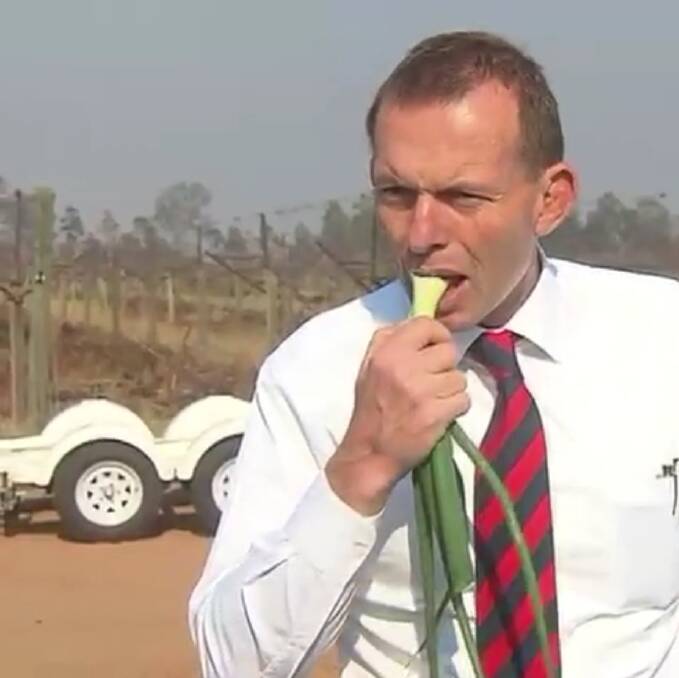 Tony Abbott, who has a history of eating raw onions in public, chomps on a spring onion in 2011. Photo: ABC News