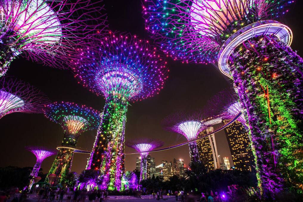 SIngapore's Gardens by the Bay, on Andrew Barr's recent Singapore itinerary, as a result of which Canberra and Singapore are discussing "cooperation on future horticultural opportunities". Photo: Bloomberg