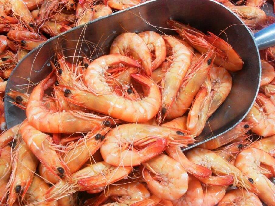 Prawn frenzy: The FishCo Fish Market expects to sell 12 tonnes of prawns on Christmas Eve.