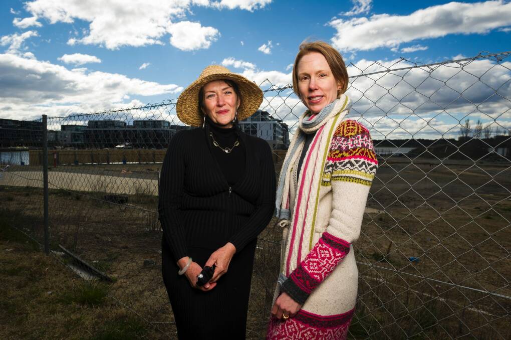 Janet Hughes and Nancy Waites are concerned about the lack of consultation over a plan for a six story apartment block on the Peninsular. Photo: Dion Georgopoulos Photo: Dion Georgopoulos