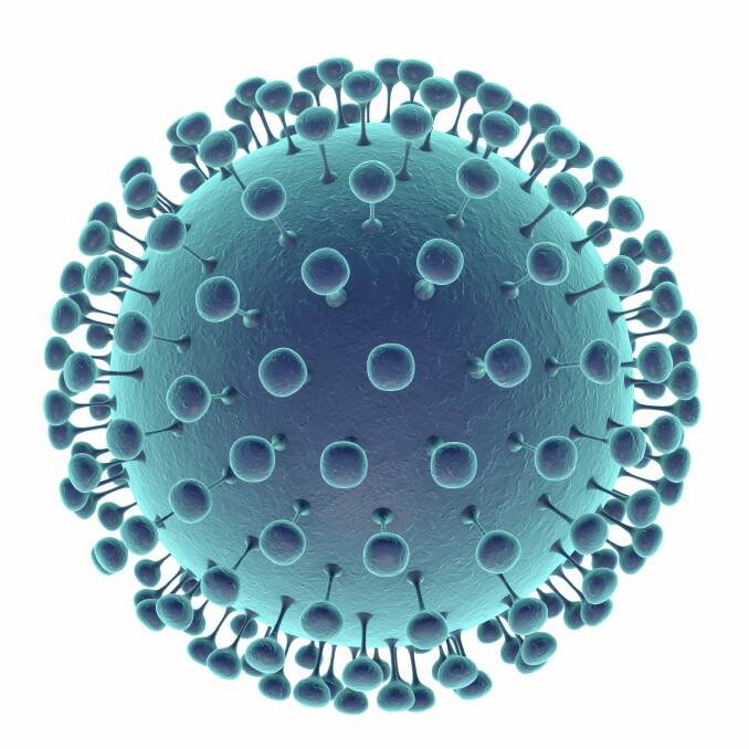 A computer illustration  of the Zika virus. Photo: Kateryna Kon