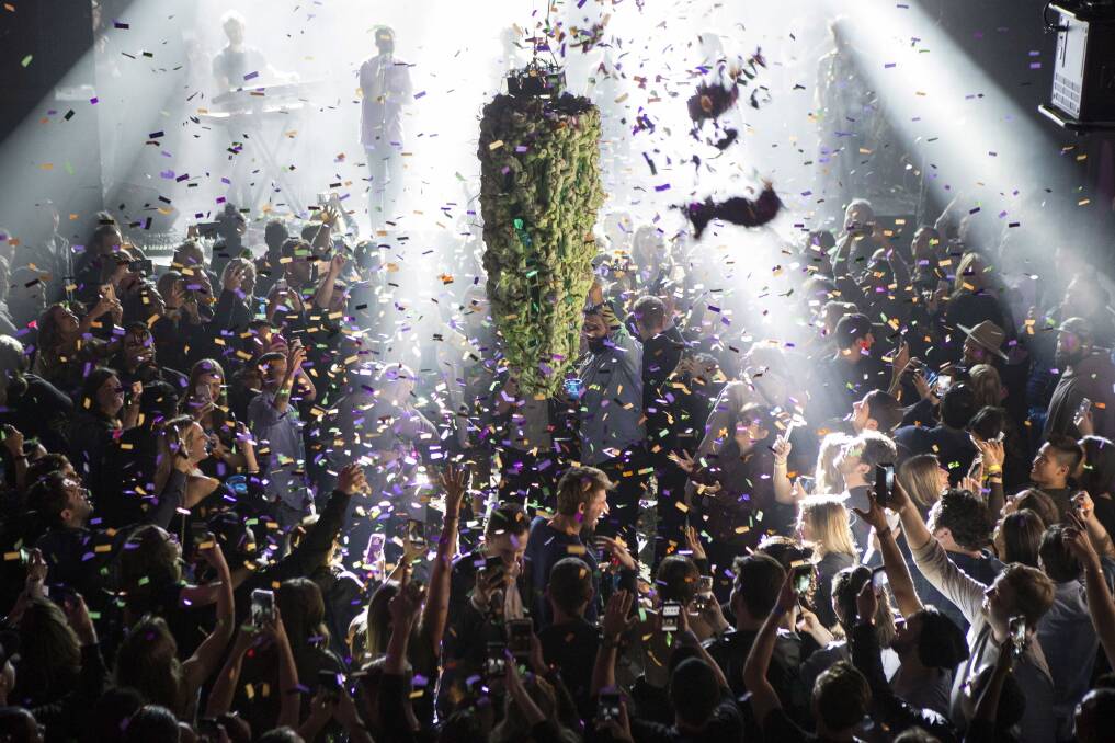 A depiction of a cannabis bud drops from the ceiling at Leafly's countdown party in Toronto, as midnight passes and marks the first day of the legalisation of cannabis across Canada. Photo: AP