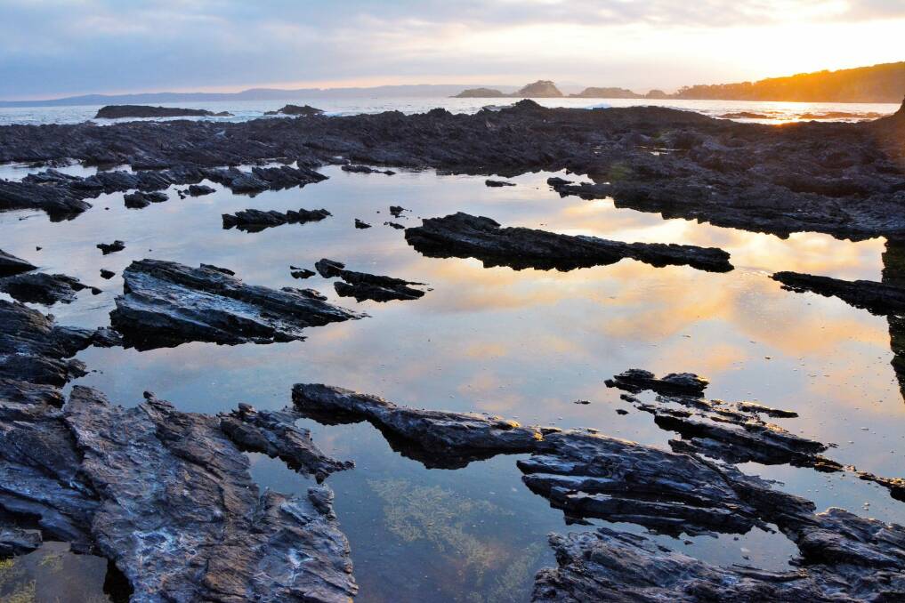 One of the photogenic reflective pools at North Head. Photo: Tim the Yowie Man