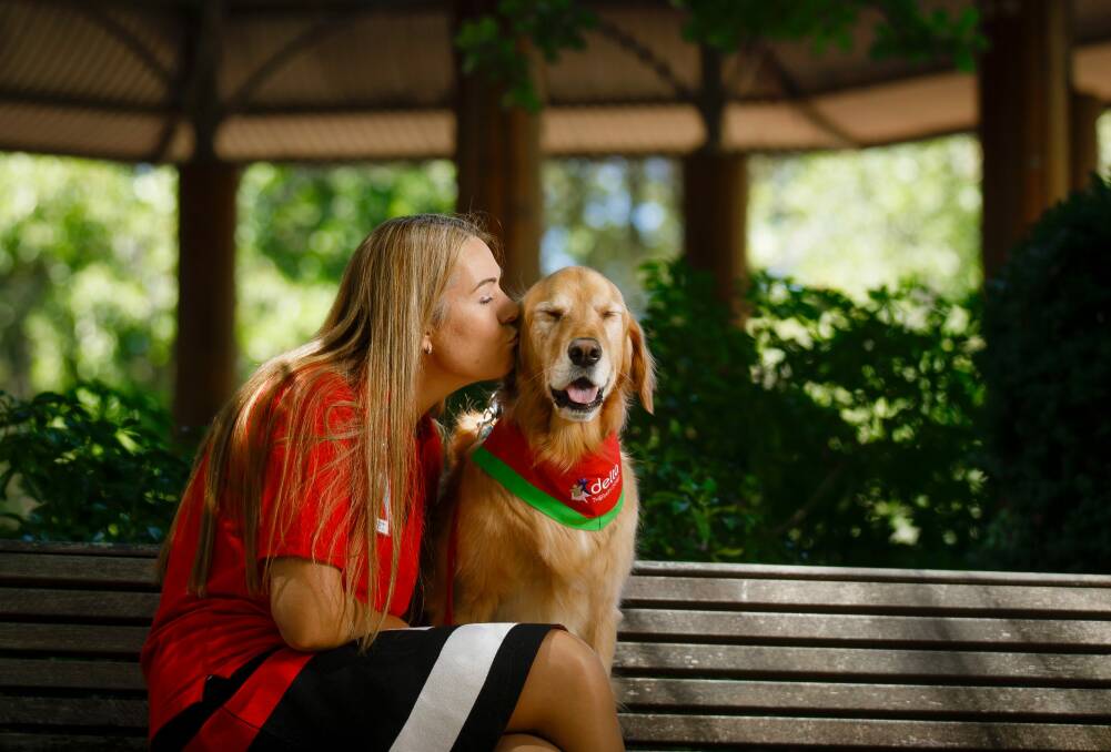 "He brings joy": Delta therapy dogs volunteer Nicci Gradidge with therapy dog Norman.  Photo: Sitthixay Ditthavong