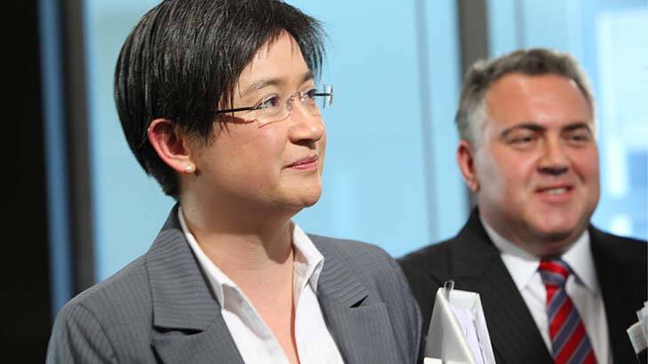 Finance Minister Penny Wong says the government has to make ‘‘responsible decisions’’. Photo: Louie Douvis